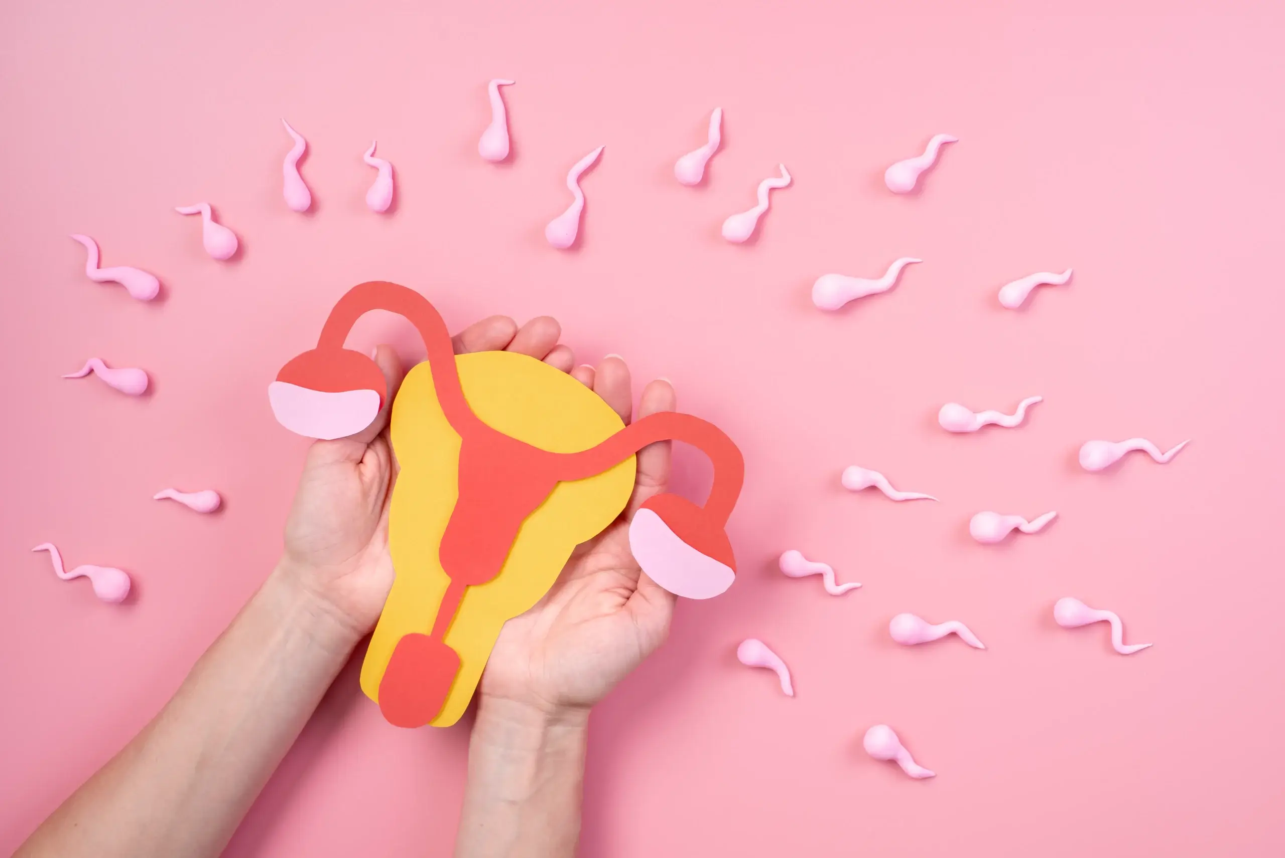 Adenomiose e Fertilidade